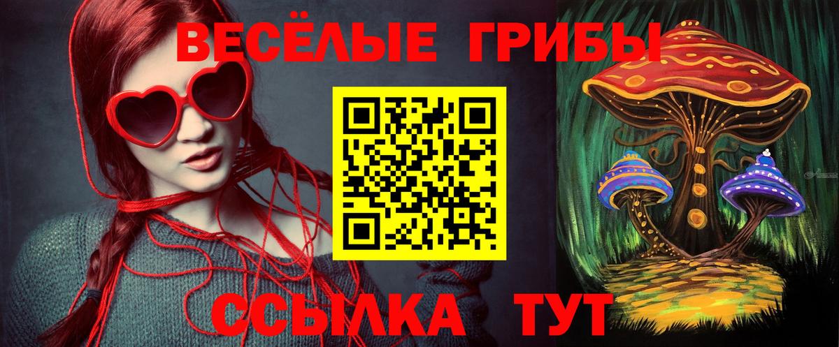 Псилоцибиновые грибы Psilocybe  Вход с VPN  Ртищево 